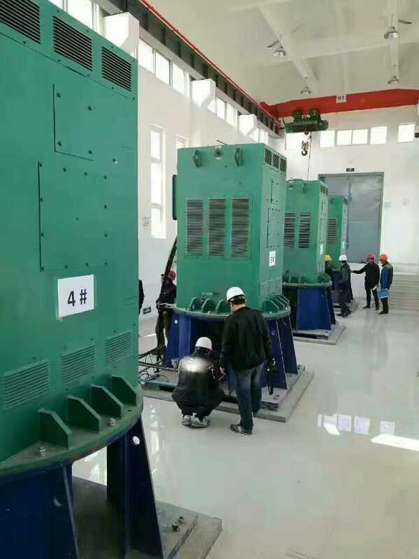 国营中坤农场某污水处理厂使用我厂的立式高压电机安装现场